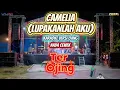 Download Lagu CAMELIA LUPAKANLAH AKU - KQRAOKE VERSI OJING - NADA CEWEK - TER OJING