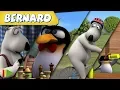 Bernard Bear | Triathlon Y MÁS | 50 min recopilación | Dibujos para niños