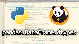Pandas dtypes Python tutorial pandas Dataframe dtypes