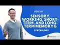 Sensory Working Short-Term and Long-Term Memory