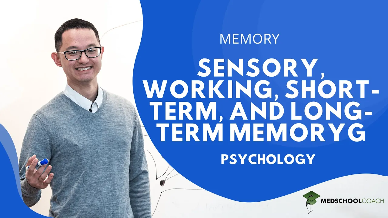 Sensory, Working, Short-Term, and Long-Term Memory