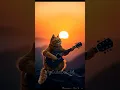 Download Lagu Kucing main gitar #catvideos #cat #catsusa #kucinglucu #catlover #catsuk #usacats #kucing #shorts