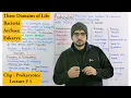 Prokaryotes introduction and comparison of three domains of life