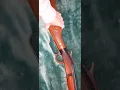 Ithaca 410 model M66 Super Single Shotgun