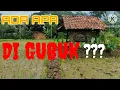 Download Lagu POP SUNDA DI PANORAMA INDAH PESAWAHAN DESA BENTARSARI SALEM BREBES JAWA TENGAH.