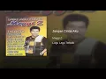 Jangan Cintai Aku - Meggi Z