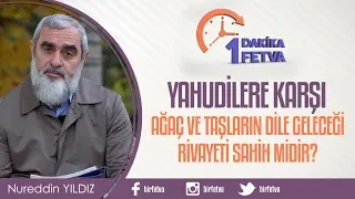 Yahudilere karşı ağaç ve taşların dile geleceği rivayeti sahih midir?