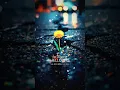 너의 봄이 되리라 