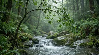 Fall Asleep Naturally with Heavy Rain on a Forest Stream | ASMR Rain Sounds on a Forest Lake