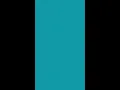 The Crossword Clue -