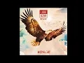 Download Lagu Moonlght - Free Bird (Ludo Ozka Remix)