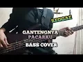 Download Lagu Bass COVER || GANTENGNYA PACARKU - Reggae Version (bassist pemula)