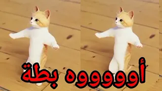 اغنية بطة الحلوة عيد ميلاد بطه بالتعليق المثبت السعودية ابوظبي العراق الجزائر دبي جده الكويت تركيا 