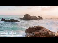 Sam Feldt - Post Malone (feat. RANI) [GATTÜSO Remix]