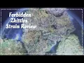 Burn It Up Forbidden Zkittles Weed Review