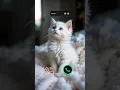 Download Lagu #call #cat #funnycallringto #iphoneringtone #funny #irringtone #callm #mobileringtone #iphone