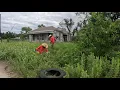 We gave this PROPERTY life AFTER YEARS of OVERGROWTH