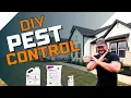 DIY Pest Control Easy Home Protection Tips