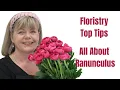 How to Condition and Use Ranunculus