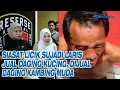 Download Lagu Siasat Licik Sujadi Laris Jual Daging Kucing, Dijual Daging Kambing Muda