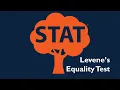 Levene s Test for Equality of Variances using Python