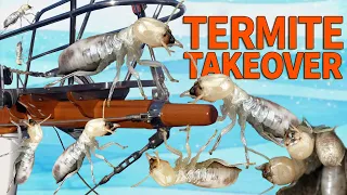 Sailboat failures | Termites, leaks and corrosion – Sailing Ep 278