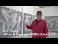 Download Lagu PEDRO MEIER – »Work in Progress« – VERNISSAGE-TV – Eggenschwiler-Wiggli-Stiftung Switzerland Museum