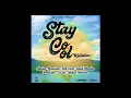 Volcanik Mix Stay Cool Riddim by Selekta Livity