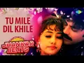 Download Lagu Tu Mile Dil Khile | Alka Yagnik | Criminal | Hero And King Of Jhankar Studio