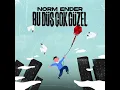 Bu Düş Çok Güzel - Norm Ender