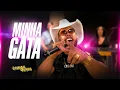 Forró Camisa Suada - Minha Gata (Clipe Oficial)