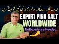 Download Lagu How to Start a Pink Salt Business and Export Worldwide | Complete Step by Step Guide