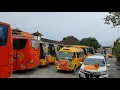 Download Lagu Sewa Bus Di Bali #Shorts