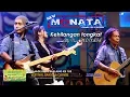 Download Lagu KEHILANGAN TONGKAT - ALFI New MONATA - NEW MONATA - JALUR JAGAD AUDIO