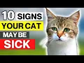 Download Lagu 10 Signs That Your Cat May Be Sick | 10 Subtle Signs That Your Cat May Have an Illness