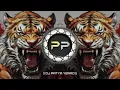Lagu Tiger Track Crowd Control Dj Tapori Mix Dj Patya Yerad