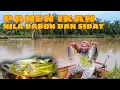 Download Lagu PANEN IKAN NILA BABON DAN IKAN SIDAT||Banjir Kiriman Membawa Rezeki 