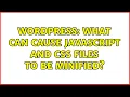 Wordpress What can cause JavaScript and CSS files to be minified