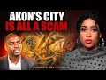 How Akon sold a fantasy to Africa