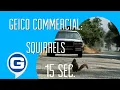 GEICO Commercial - Squirrels [15 Sec. Version] 🐿️🌰 (2001)