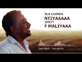 Cheb khaled ||  Wach jabek liya  - Lyrics