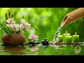 Download Lagu Relaxing Sleep Music and Soothing Nature Sounds 🌿 Meditation Music Relax Mind Body, Stress Relief