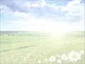 החלונות הגבוהים - כמה נעים