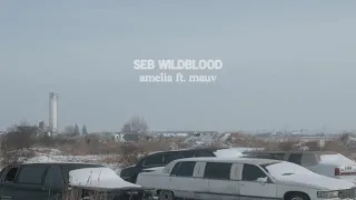 Download seb wildblood - amelia ft. mauv MP3