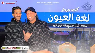 كليب مزمار لغة العيون الجديد        محمد عبدالسلام   طارق شئلشه   اقوي كليب تشوفه   حفلات ابو مالك دندنها