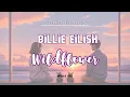 Download Lagu Wildflower - Billie Eilish - Lorik Lagu / Song Lyrics