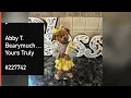 Boyds Bears Abby T Bearymuch Yours Truly Bearstone Collection