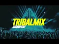 Download Lagu EDM เปิดในผับ 2025 - TRIBAL HOUSE / EDM MIX #96