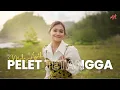 Lagu MALA AGATHA - PELET TETANGGA (Official Music Video)