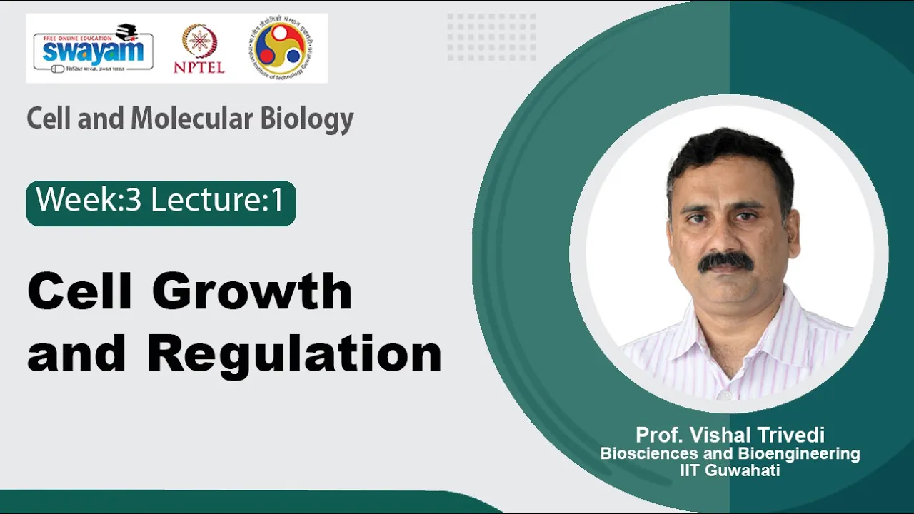 Lec 9: Cell Growth and regulation